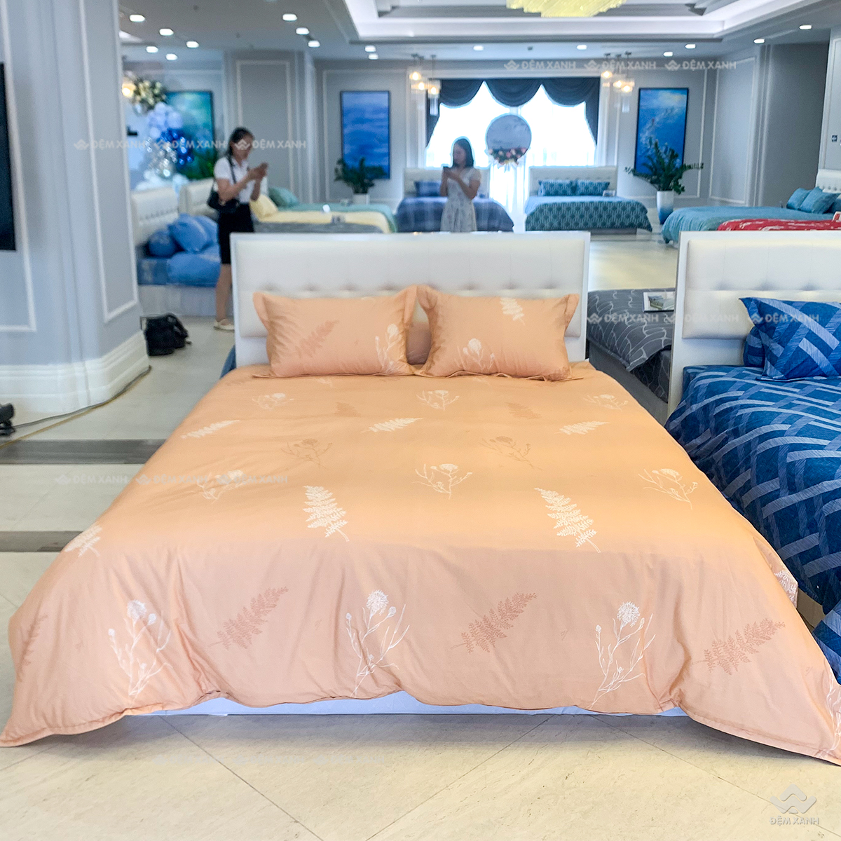 Chăn đông Sông Hồng Basic TC BT24202