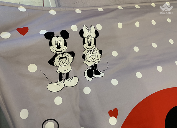 Chăn ga gối Sông Hồng Youth YC20004