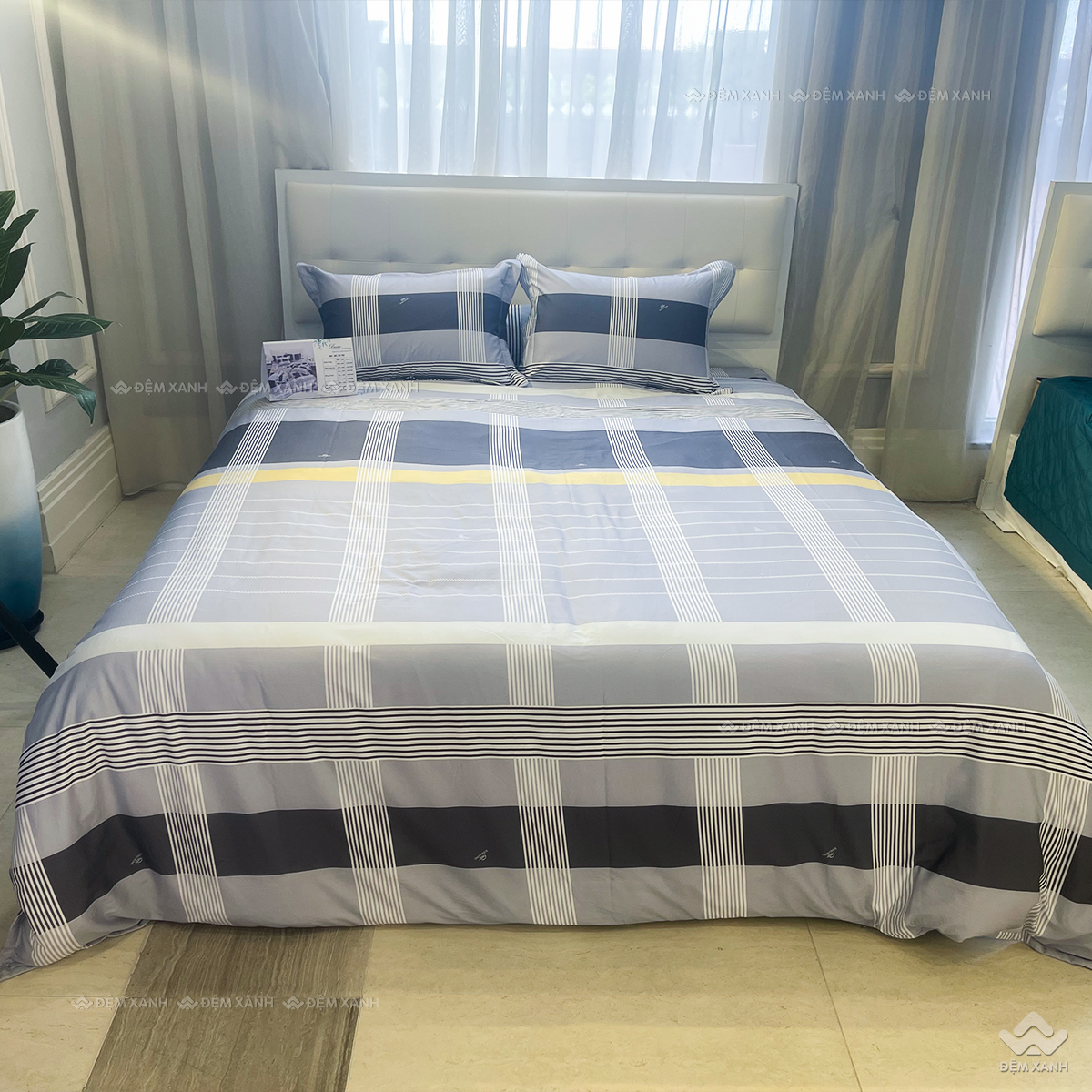 Chăn đông Sông Hồng Basic cotton BC25110