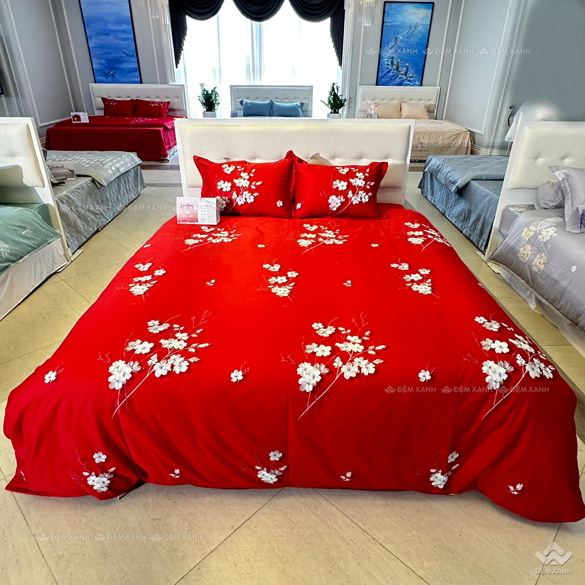 Chăn đông Sông Hồng Basic cotton BC25112