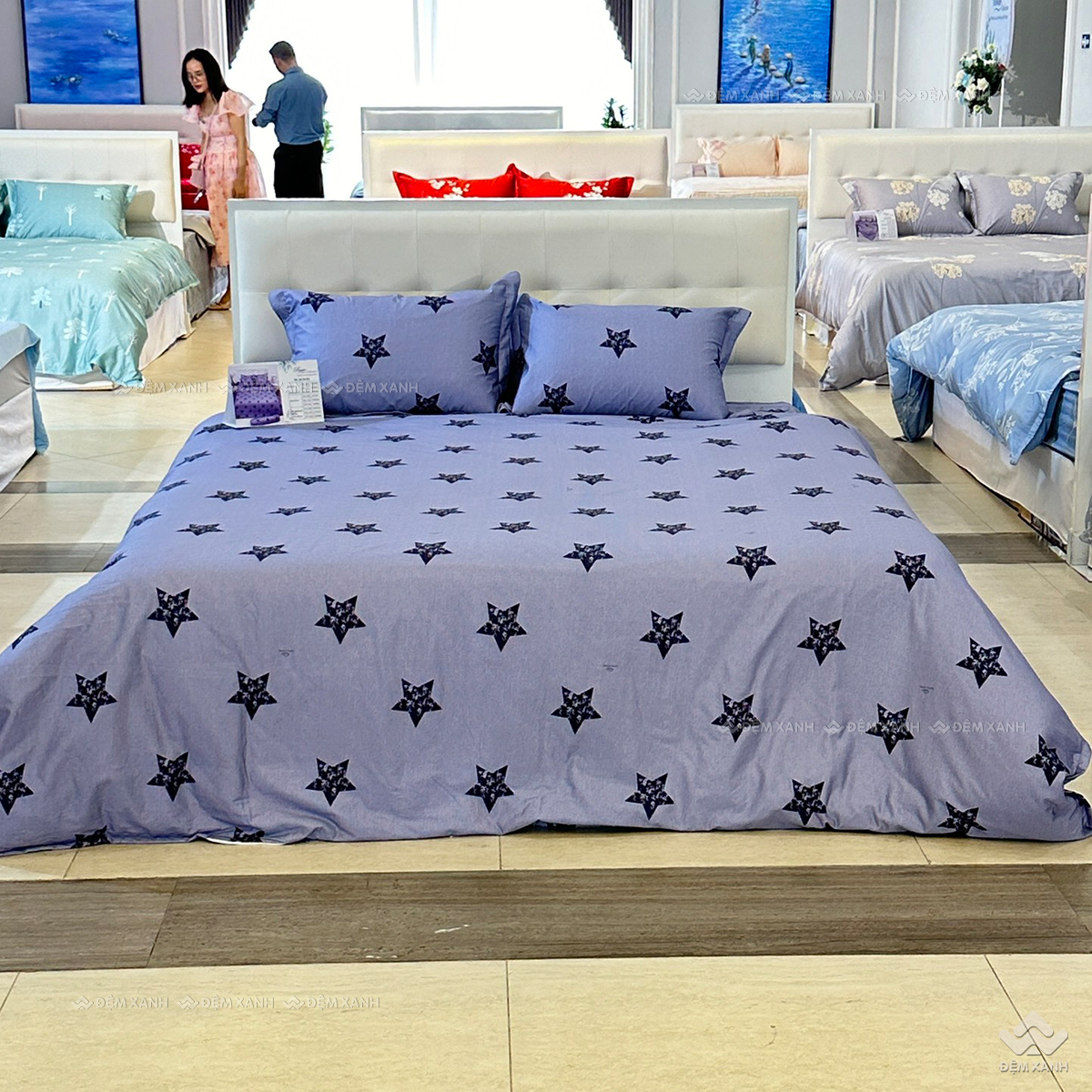 Chăn đông Sông Hồng Basic cotton BC25116