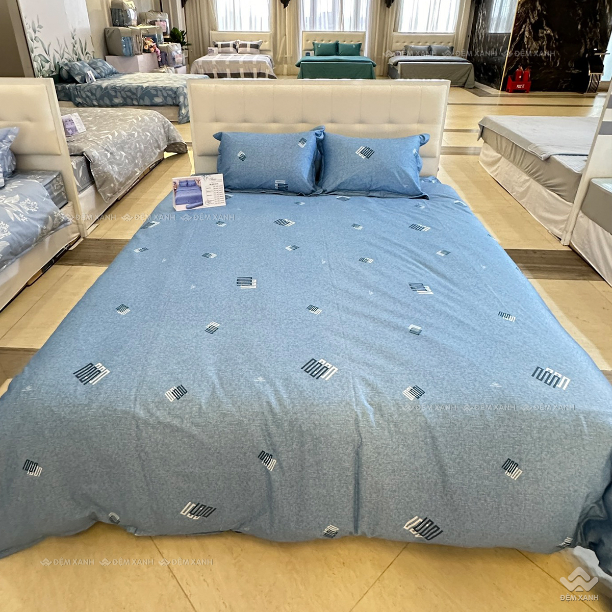 Chăn đông Sông Hồng Basic cotton BC25117