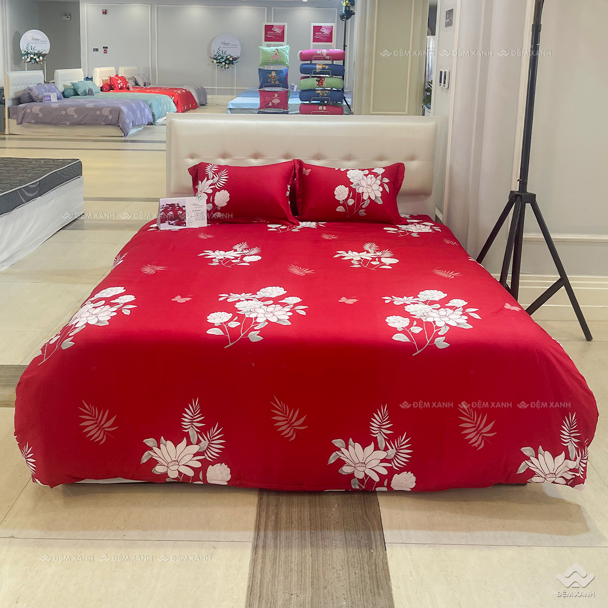 Chăn đông Sông Hồng Adore AC25102