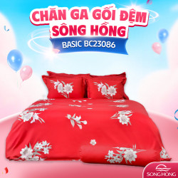 Chăn đông Sông Hồng Basic cotton BC23086