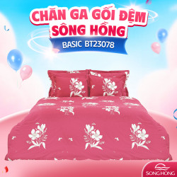 Chăn đông Sông Hồng Basic TC BT23078