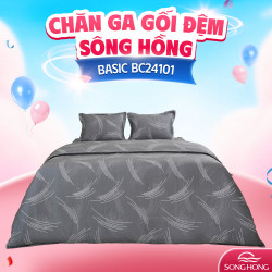 Chăn ga gối Sông Hồng Basic cotton BC24101
