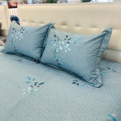 Vỏ gối Sông Hồng Basic cotton BC24C08