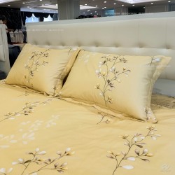 Vỏ gối Sông Hồng Basic cotton BC24C07