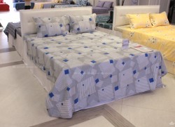 Vỏ chăn đông Sông Hồng basic cotton BC22057