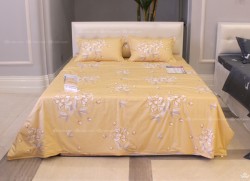 Vỏ chăn đông Sông Hồng basic cotton BC22066