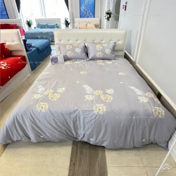 Chăn đông Sông Hồng Basic cotton BC25108