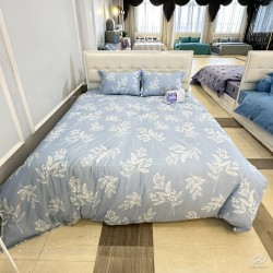 Chăn đông Sông Hồng Basic cotton BC25109