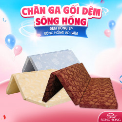 Đệm bông ép Sông Hồng vỏ gấm gập 3