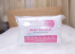 Ruột gối đầu Sông Hồng