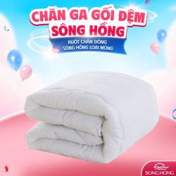 Ruột chăn sông hồng kích thước 200x220