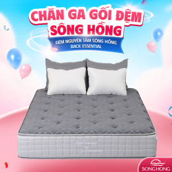 Đệm cao cấp Sông Hồng Back Essential