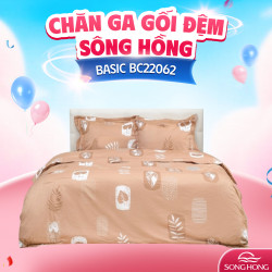 Ga gối Sông Hồng Basic cotton BC22062