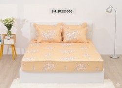 Ga gối Sông Hồng Basic cotton BC22066