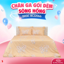 Ga gối Sông Hồng Basic cotton BC22066
