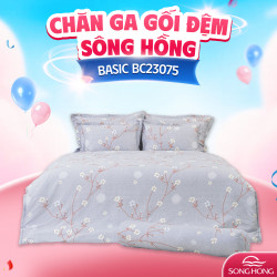 Ga gối Sông Hồng Basic cotton BC23075