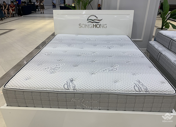 Đệm cao cấp Sông Hồng Back Essential