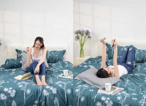 Chăn ga gối Sông Hồng Basic cotton BC22050