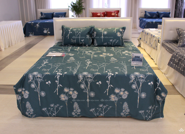 Ga gối Sông Hồng Basic cotton BC22050