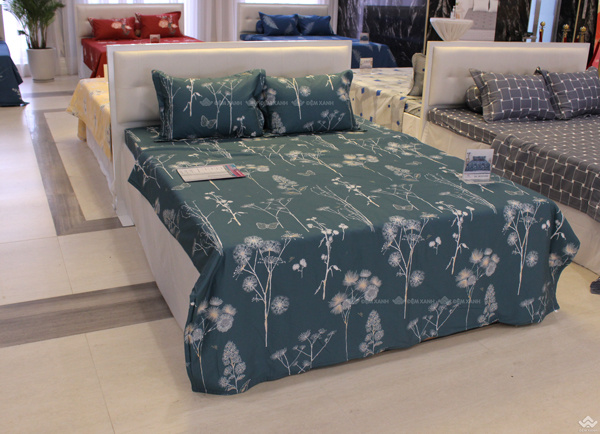 Ga gối Sông Hồng Basic cotton BC22050