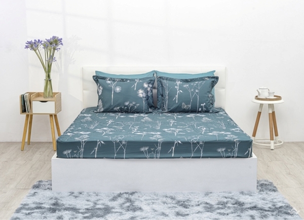 Ga gối Sông Hồng Basic cotton BC22050