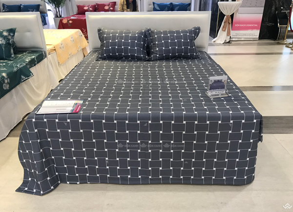 Ga gối Sông Hồng Basic cotton BC22051