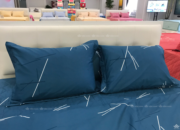 Ga gối Sông Hồng Basic cotton BC22060