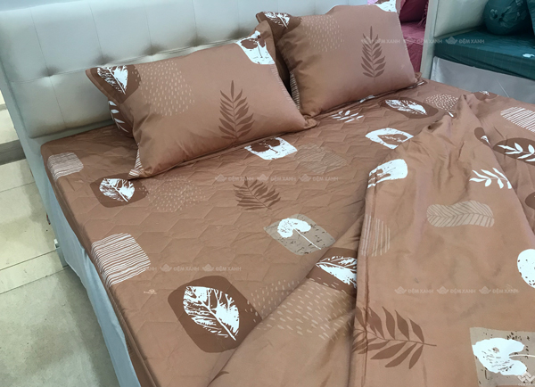 Ga gối Sông Hồng Basic cotton BC22062