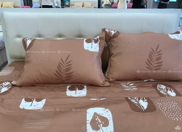 Ga gối Sông Hồng Basic cotton BC22062