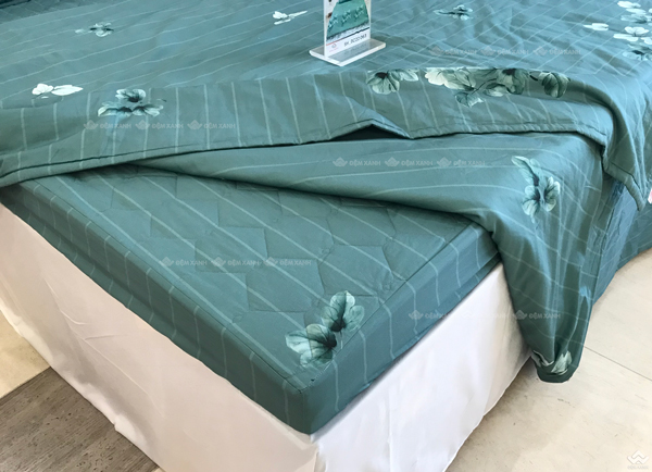 Ga gối Sông Hồng Basic cotton BC22063