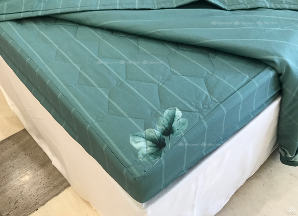 Ga gối Sông Hồng Basic cotton BC22063