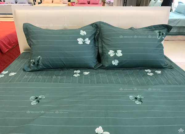 Ga gối Sông Hồng Basic cotton BC22063