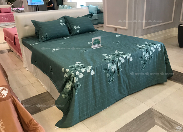 Ga gối Sông Hồng Basic cotton BC22063