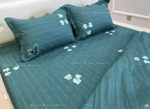 Ga gối Sông Hồng Basic cotton BC22063