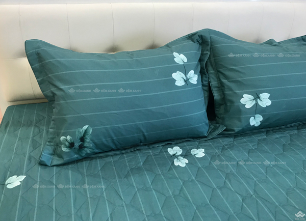 Ga gối Sông Hồng Basic cotton BC22063