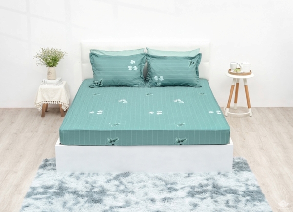 Ga gối Sông Hồng Basic cotton BC22063