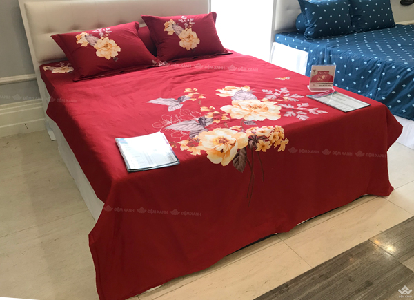 Ga gối Sông Hồng Basic cotton BC22064