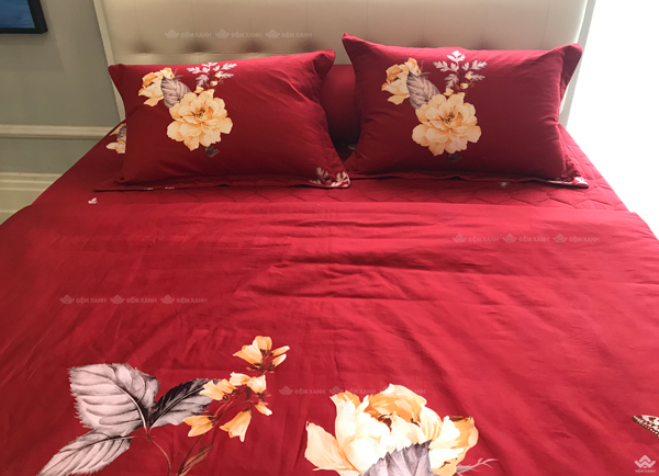 Ga gối Sông Hồng Basic cotton BC22064