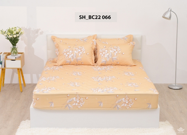 Ga gối Sông Hồng Basic cotton BC22066