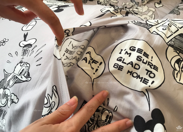 Chăn ga gối Sông Hồng Youth YC22014