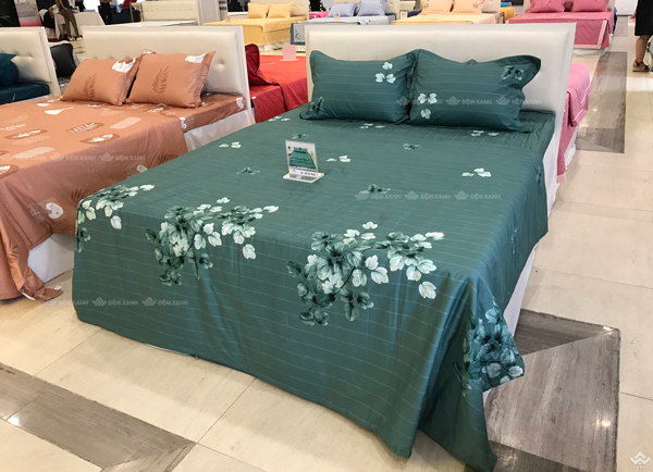 Vỏ chăn xuân thu Sông Hồng basic cotton BC22063