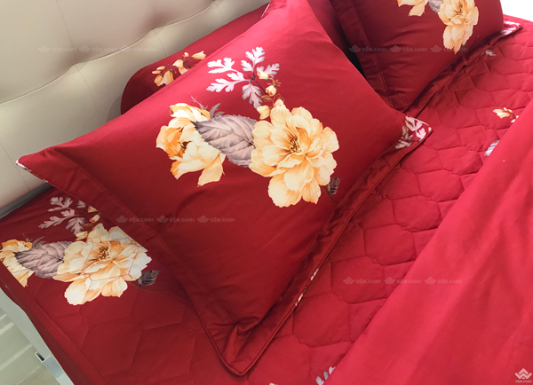 Vỏ chăn xuân thu Sông Hồng basic cotton BC22064