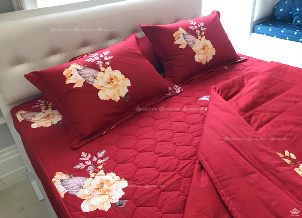 Vỏ chăn xuân thu Sông Hồng basic cotton BC22064