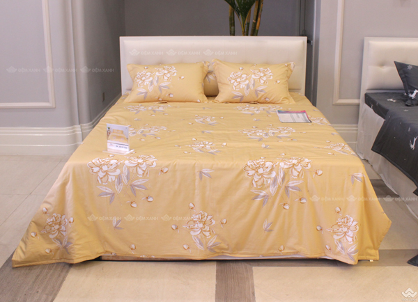 Vỏ chăn xuân thu Sông Hồng basic cotton BC22066
