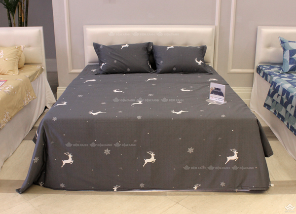 Vỏ chăn xuân thu Sông Hồng basic cotton BC22067