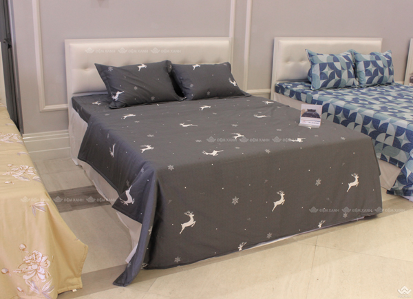 Vỏ chăn xuân thu Sông Hồng basic cotton BC22067